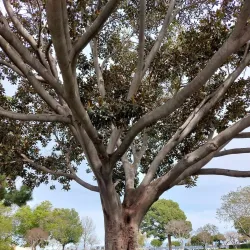 Garden Grove Park - Westminster