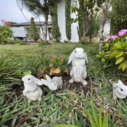 Gioia Park - Westminster