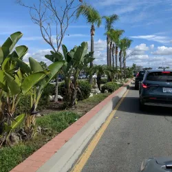 Little Saigon - Westminster