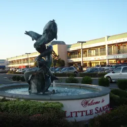 Little Saigon - Westminster