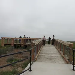 Seal Beach National Wildlife Refuge - Westminster