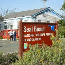 Seal Beach National Wildlife Refuge - Westminster