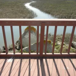 Seal Beach National Wildlife Refuge - Westminster