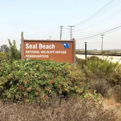 Seal Beach National Wildlife Refuge - Westminster
