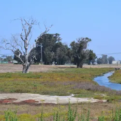 Seal Beach National Wildlife Refuge - Westminster