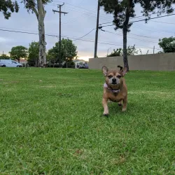 Westminster Community Park - Westminster