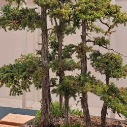 Westminster Mall - Westminster