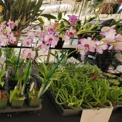 Westminster Mall - Westminster