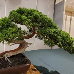 Westminster Mall - Westminster