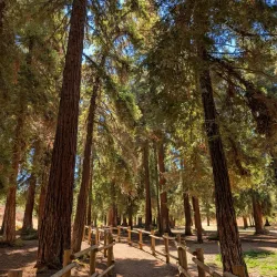Carbon Canyon Regional Park - Yorba Linda