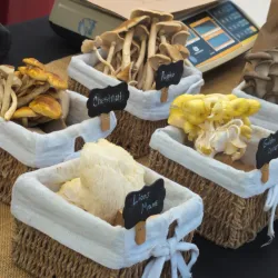 Yorba Linda Farmers Market - Yorba Linda