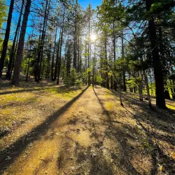Greenhorn Park - Yreka