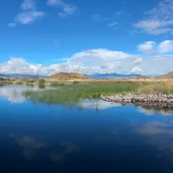 Shasta Valley Wildlife Area - Yreka