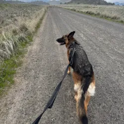 Shasta Valley Wildlife Area - Yreka