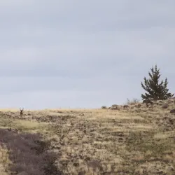Shasta Valley Wildlife Area - Yreka