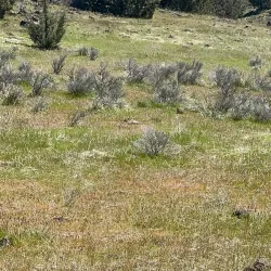 Shasta Valley Wildlife Area - Yreka