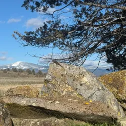 Shasta Valley Wildlife Area - Yreka