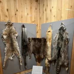 Siskiyou County Museum - Yreka