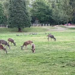 Yreka City Park - Yreka