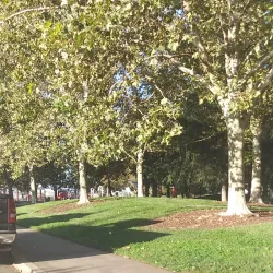 Honcut Creek Park - Yuba City