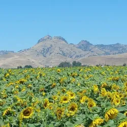 Sutter Buttes - Yuba City