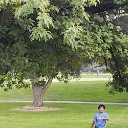 Yuba City Golf and Country Club - Yuba City