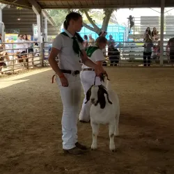 Yuba Sutter Fairgrounds - Yuba City