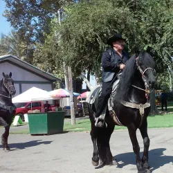 Yuba Sutter Fairgrounds - Yuba City