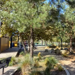 Calimesa Dog Park - Yucaipa