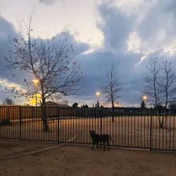 Calimesa Dog Park - Yucaipa