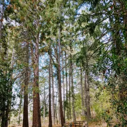 Oak Glen Preserve - Yucaipa
