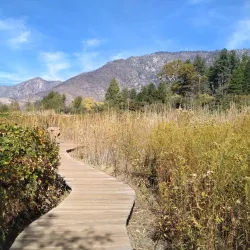 Oak Glen Preserve - Yucaipa