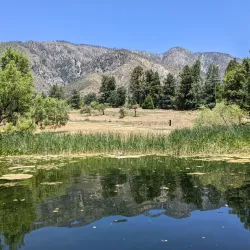 Oak Glen Preserve - Yucaipa