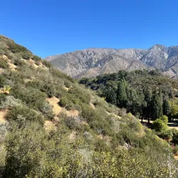 Oak Glen Preserve - Yucaipa