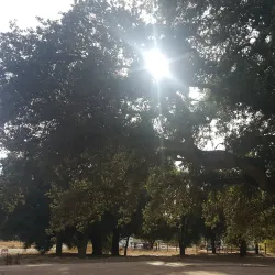 Wildwood Canyon State Park - Yucaipa