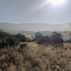 Wildwood Canyon State Park - Yucaipa