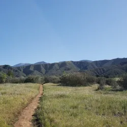 Wildwood Canyon State Park - Yucaipa