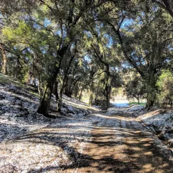 Wildwood Canyon State Park - Yucaipa