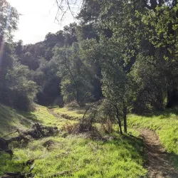 Wildwood Canyon State Park - Yucaipa