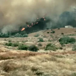 Wildwood Canyon Trail - Yucaipa