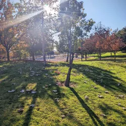 Yucaipa Community Park - Yucaipa