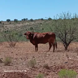 Black Rock Canyon Trailhead - Yucca Valley