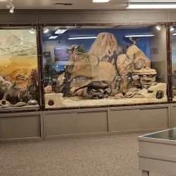 Hi-Desert Nature Museum - Yucca Valley