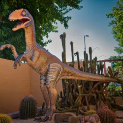 Hi-Desert Nature Museum - Yucca Valley