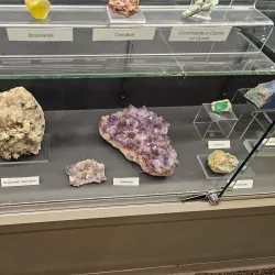 Hi-Desert Nature Museum - Yucca Valley