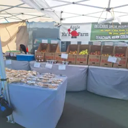 Joshua Tree Farmers Market - Yucca Valley