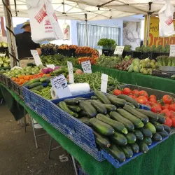 Joshua Tree Farmers Market - Yucca Valley