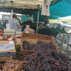 Joshua Tree Farmers Market - Yucca Valley