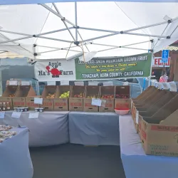 Joshua Tree Farmers Market - Yucca Valley