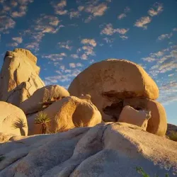 Joshua Tree National Park - Yucca Valley